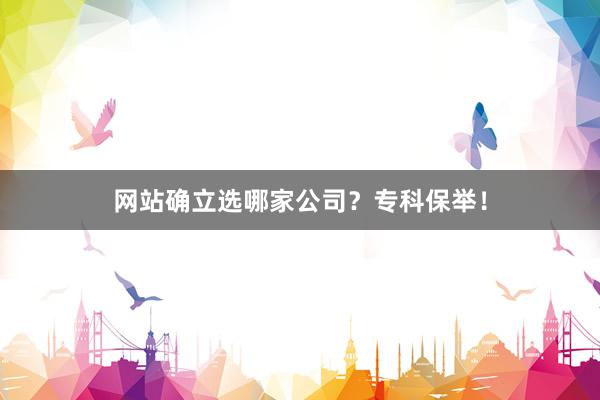 网站确立选哪家公司？专科保举！