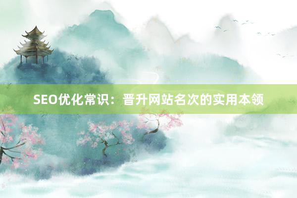 SEO优化常识：晋升网站名次的实用本领
