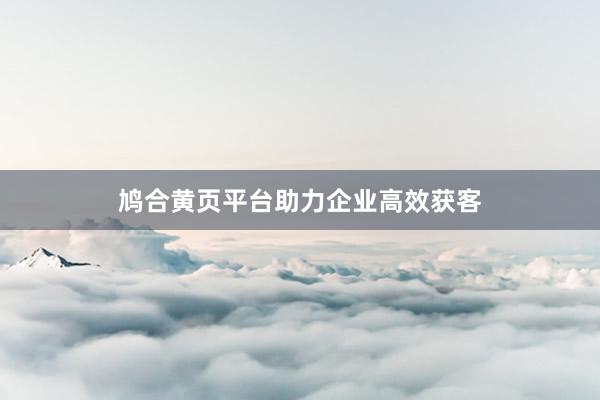 鸠合黄页平台助力企业高效获客